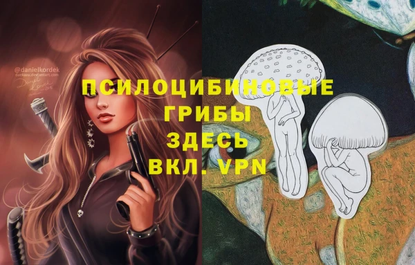 а пвп мука Алексин