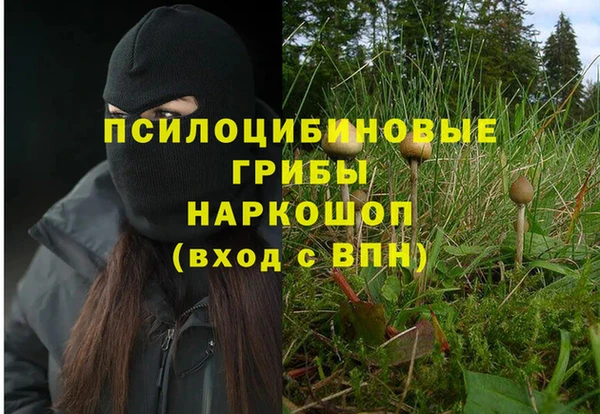 винт Алзамай