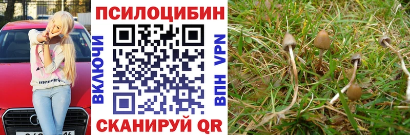 Галлюциногенные грибы мухоморы  купить  цена  kraken ССЫЛКА  Любим 